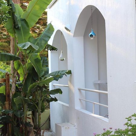 Carolina Apartments Crete Agia Pelagia 외부 사진