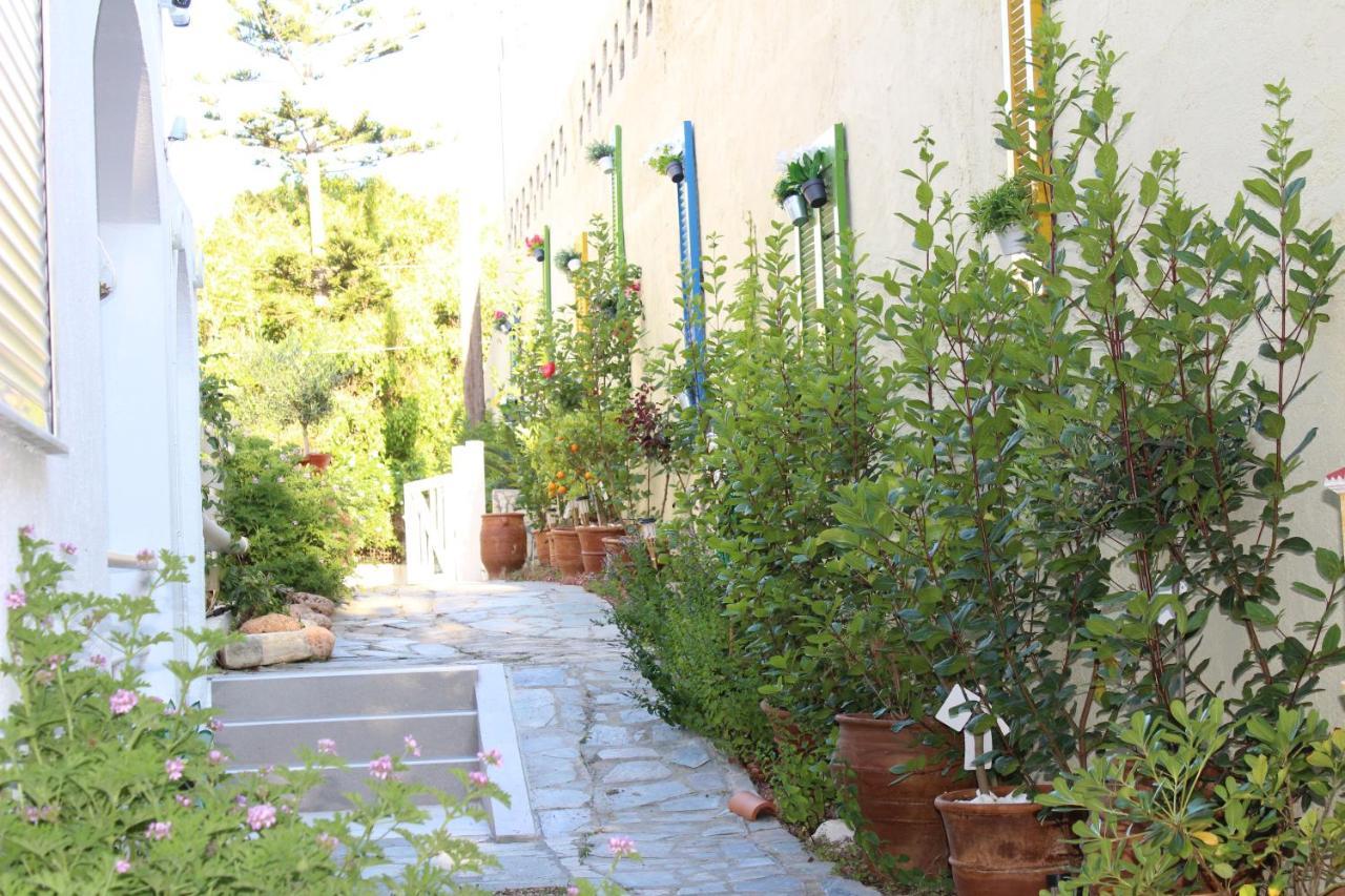 Carolina Apartments Crete Agia Pelagia 외부 사진