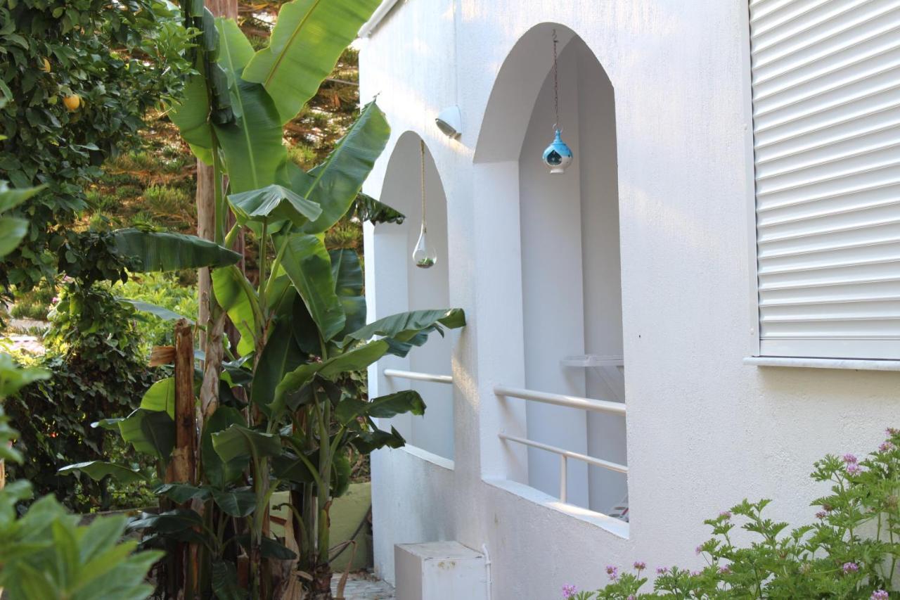 Carolina Apartments Crete Agia Pelagia 외부 사진